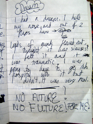 Illustration for article titled Teenage Wasteland: Your Old Diaries Are Awkward, Awe-Inspiring